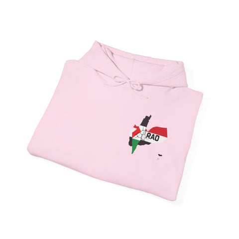 RAO Unity Hoodie: Palestine & Yemen Heavy Blend Hooded Sweatshirt