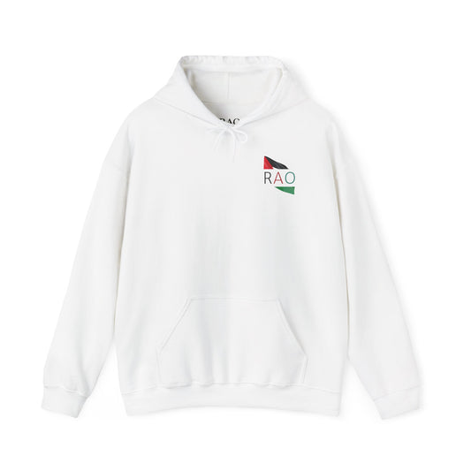Palestine Hoodie – Palestinian Flag Unisex Sweatshirt | RAO Heritage Streetwear