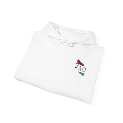 RAO Resistance Against Oppression Unisex Hoodie | Palestinian Flag Design with RAO Letters in the Center | Bold Cultural Streetwear