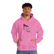 Stylish Unisex Hooded Sweatshirt with RAO Graphic, Cozy Pullover, Casual Gift, Streetwear, Everyday Wear, Unique Design