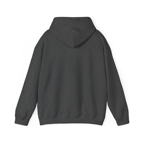 Stylish Unisex Hoodie with RAO Logo, Cozy Casual Wear, Gift for Him/Her, Perfect for Every Season, Ideal for Lounging or Outings
