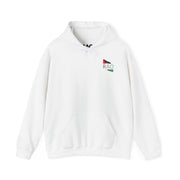 RAO Resistance Against Oppression Unisex Hoodie | Palestinian Flag Design with RAO Letters in the Center | Bold Cultural Streetwear