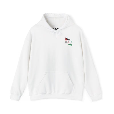 RAO Resistance Against Oppression Unisex Hoodie | Palestinian Flag Design with RAO Letters in the Center | Bold Cultural Streetwear