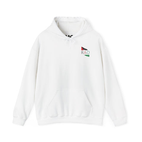 RAO Resistance Against Oppression Unisex Hoodie | Palestinian Flag Design with RAO Letters in the Center | Bold Cultural Streetwear