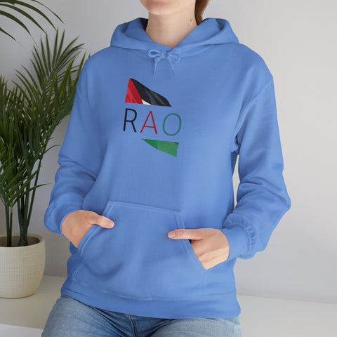 Stylish Unisex Hooded Sweatshirt with RAO Graphic, Cozy Pullover, Casual Gift, Streetwear, Everyday Wear, Unique Design
