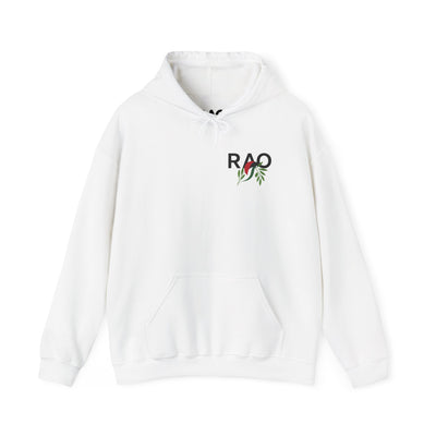 RAO Unisex Hoodie | Small Logo with Olive Leaves in Palestinian Flag Colors | Cultural Streetwear, Comfortable Eco-Friendly Hoodie