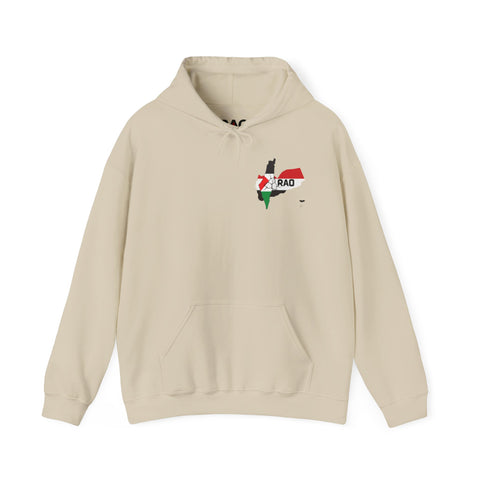 RAO Unity Hoodie: Palestine & Yemen Heavy Blend Hooded Sweatshirt
