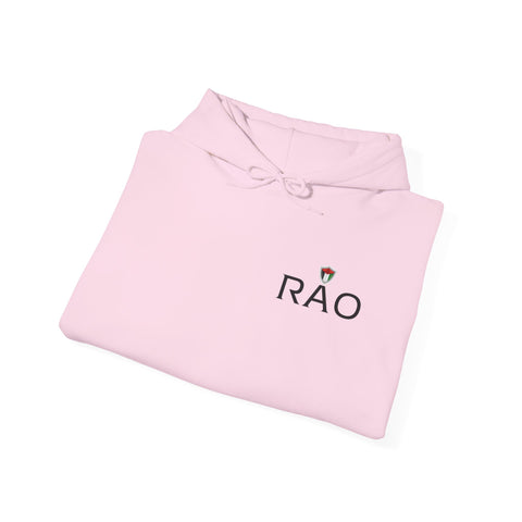 RAO Resistance Against Oppression Unisex Hoodie | Small Left Chest Logo with Palestinian Shield Flag & Map Design | Eco-Friendly Cultural Streetwear