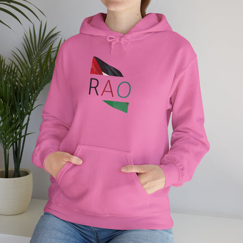 Stylish Unisex Hooded Sweatshirt with RAO Graphic, Cozy Pullover, Casual Gift, Streetwear, Everyday Wear, Unique Design