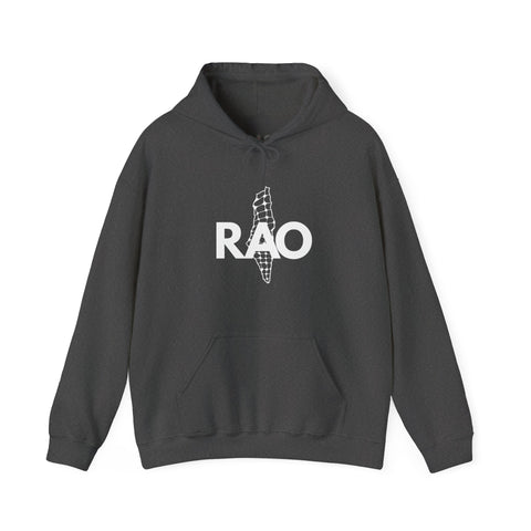Unisex Heavy Blend™ Palestine RAO Map - Hooded Sweatshirt