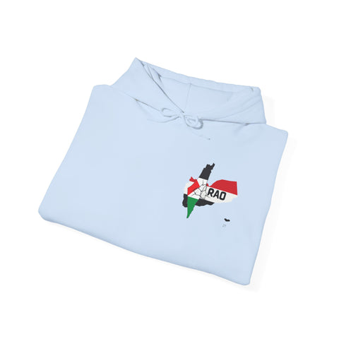 RAO Unity Hoodie: Palestine & Yemen Heavy Blend Hooded Sweatshirt