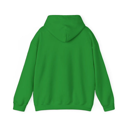 RAO Resistance Against Oppression Unisex Hoodie | Palestinian RAO & Kufya Map Graphic | Cultural Streetwear, Eco-Friendly, Comfortable Hoodie