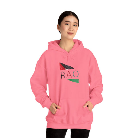 Stylish Unisex Hooded Sweatshirt with RAO Graphic, Cozy Pullover, Casual Gift, Streetwear, Everyday Wear, Unique Design