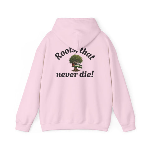 RAO Resistance Against Oppression Unisex Hoodie | Black RAO Letters with Palestinian Map & Flag Ribbon | Cultural Streetwear, Eco-Friendly Hoodie