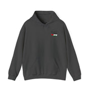 RAO Resistance Against Oppression Unisex Hoodie | Small Logo with Palestinian Flag | Cultural Streetwear, Eco-Friendly & Comfortable Hoodie