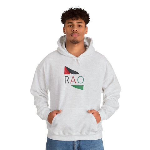 Stylish Unisex Hooded Sweatshirt with RAO Graphic, Cozy Pullover, Casual Gift, Streetwear, Everyday Wear, Unique Design