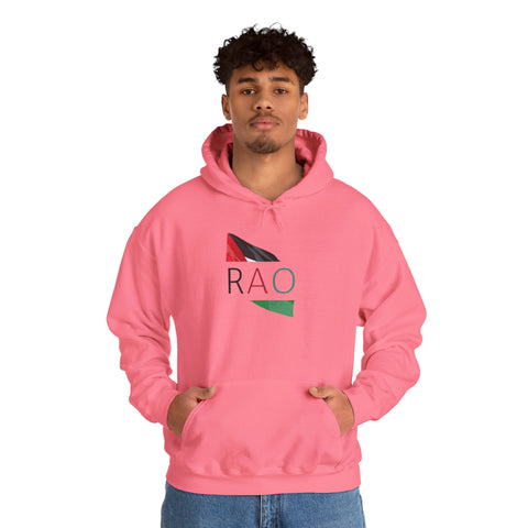 Stylish Unisex Hooded Sweatshirt with RAO Graphic, Cozy Pullover, Casual Gift, Streetwear, Everyday Wear, Unique Design