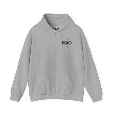 RAO Resistance Against Oppression Unisex Hoodie | Small Palestinian Map with RAO Flag Letters Design | Cultural Streetwear Sweatshirt