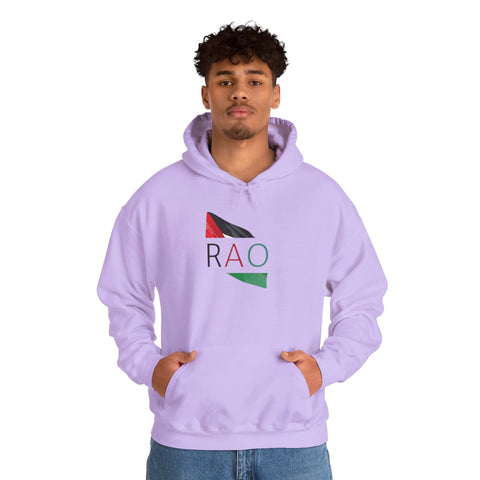Stylish Unisex Hooded Sweatshirt with RAO Graphic, Cozy Pullover, Casual Gift, Streetwear, Everyday Wear, Unique Design