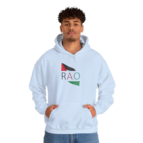 Stylish Unisex Hooded Sweatshirt with RAO Graphic, Cozy Pullover, Casual Gift, Streetwear, Everyday Wear, Unique Design