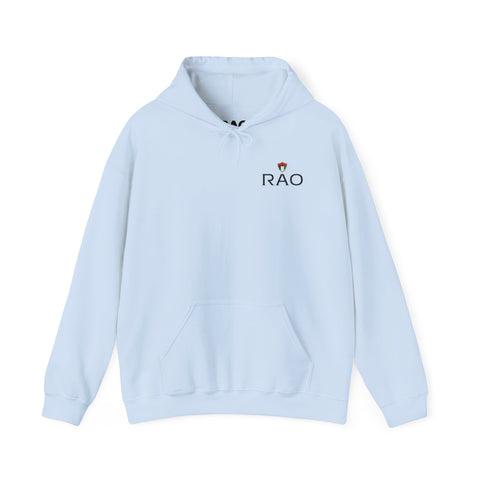 RAO Resistance Against Oppression Unisex Hoodie | Small Left Chest Logo with Palestinian Shield Flag & Map Design | Eco-Friendly Cultural Streetwear