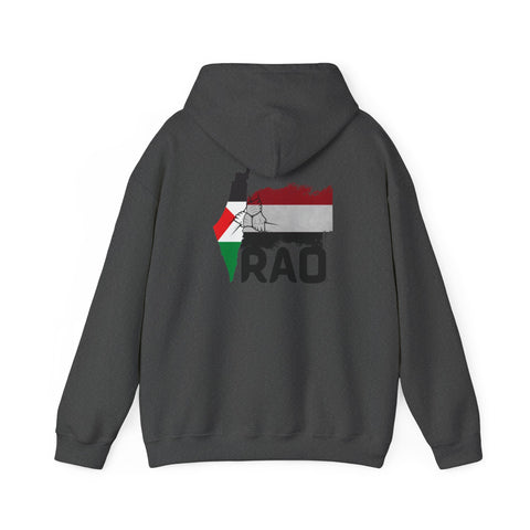 RAO Unity Hoodie: Palestine & Yemen Heavy Blend Hooded Sweatshirt
