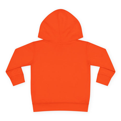 Toddler Hoodie with RAO Design, Cozy Pullover, Kids Casual Wear, Baby Shower Gift, Everyday Fashion