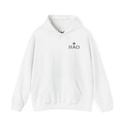RAO Resistance Against Oppression Unisex Hoodie | Small Left Chest Logo with Palestinian Shield Flag & Map Design | Eco-Friendly Cultural Streetwear