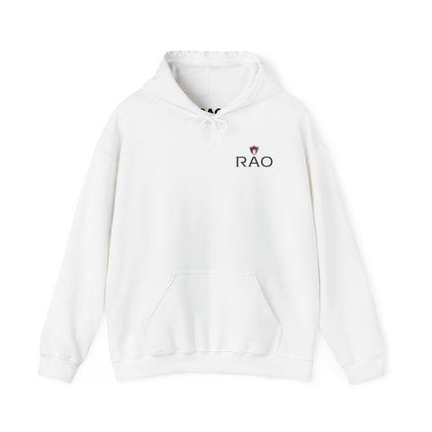 RAO Resistance Against Oppression Unisex Hoodie | Small Left Chest Logo with Palestinian Shield Flag & Map Design | Eco-Friendly Cultural Streetwear