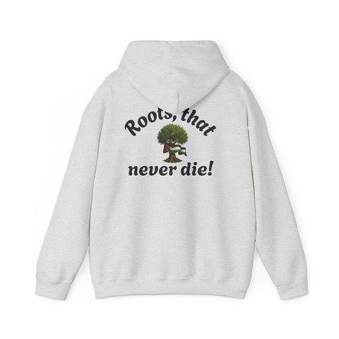 RAO Resistance Against Oppression Unisex Hoodie | Black RAO Letters with Palestinian Map & Flag Ribbon | Cultural Streetwear, Eco-Friendly Hoodie