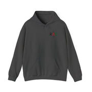 RAO Resistance Against Oppression Unisex Hoodie | Small Palestinian Map with RAO Flag Letters Design | Cultural Streetwear Sweatshirt