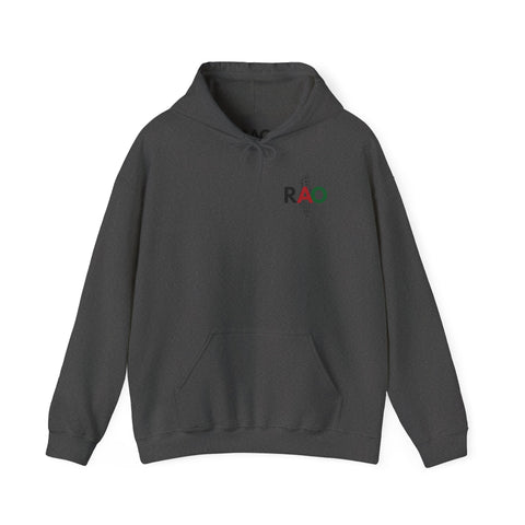 RAO Resistance Against Oppression Unisex Hoodie | Small Palestinian Map with RAO Flag Letters Design | Cultural Streetwear Sweatshirt