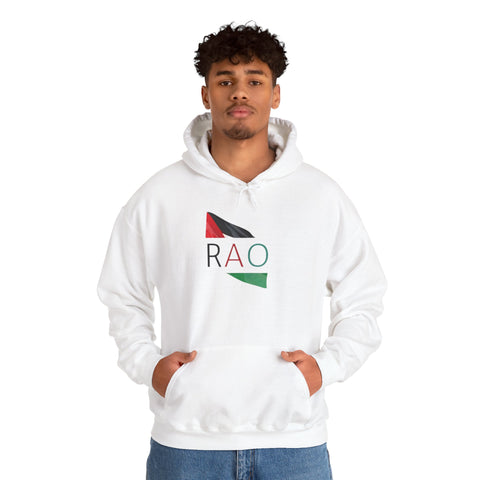 Stylish Unisex Hooded Sweatshirt with RAO Graphic, Cozy Pullover, Casual Gift, Streetwear, Everyday Wear, Unique Design