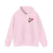 RAO Unity Hoodie: Palestine & Yemen Heavy Blend Hooded Sweatshirt