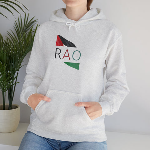 Stylish Unisex Hooded Sweatshirt with RAO Graphic, Cozy Pullover, Casual Gift, Streetwear, Everyday Wear, Unique Design