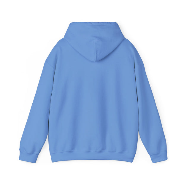 Stylish Unisex Hoodie with RAO Logo, Cozy Casual Wear, Gift for Him/Her, Perfect for Every Season, Ideal for Lounging or Outings