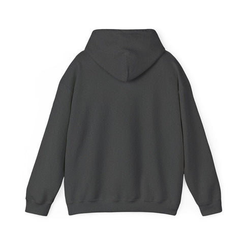 RAO Resistance Against Oppression Unisex Hoodie | Small Left Chest Logo with Palestinian Shield Flag & Map Design | Eco-Friendly Cultural Streetwear