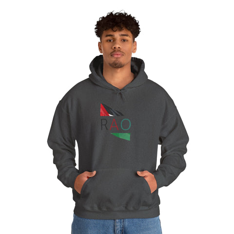 Stylish Unisex Hooded Sweatshirt with RAO Graphic, Cozy Pullover, Casual Gift, Streetwear, Everyday Wear, Unique Design