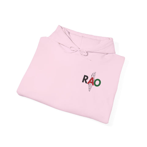 RAO Resistance Against Oppression Unisex Hoodie | Small Palestinian Map with RAO Flag Letters Design | Cultural Streetwear Sweatshirt