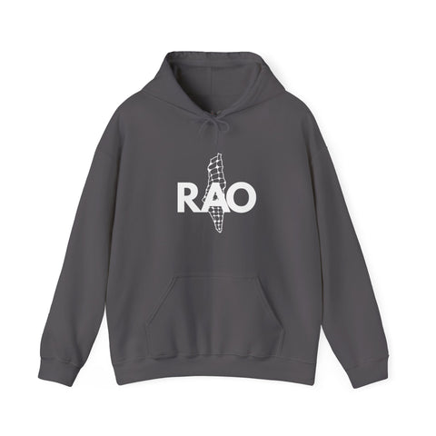 Unisex Heavy Blend™ Palestine RAO Map - Hooded Sweatshirt