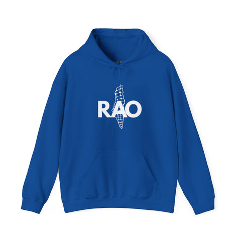 Unisex Heavy Blend™ Palestine RAO Map - Hooded Sweatshirt