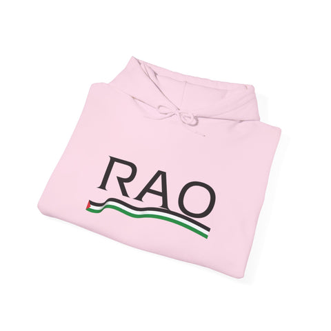 RAO Resistance Against Oppression Unisex Hoodie | Black RAO Letters with Palestinian Map & Flag Ribbon | Cultural Streetwear, Eco-Friendly Hoodie