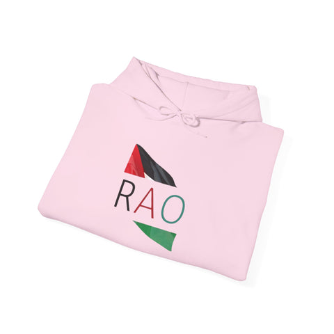 Stylish Unisex Hooded Sweatshirt with RAO Graphic, Cozy Pullover, Casual Gift, Streetwear, Everyday Wear, Unique Design