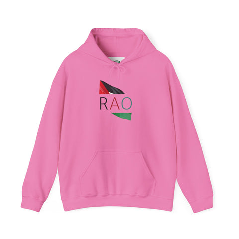 Stylish Unisex Hooded Sweatshirt with RAO Graphic, Cozy Pullover, Casual Gift, Streetwear, Everyday Wear, Unique Design