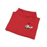 RAO Unity Hoodie: Palestine & Yemen Heavy Blend Hooded Sweatshirt