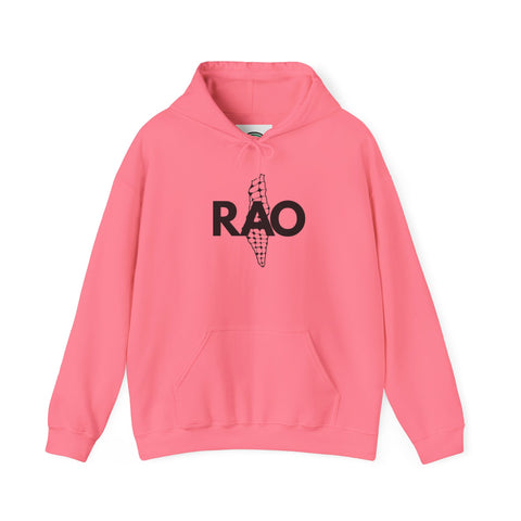 Cool Casual Unisex Sweatshirt with RAO Design, Cozy Gift for Friends, Trendy Hoodie, Perfect for All Occasions, Stylish Layering Piece