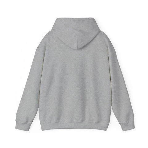 RAO Resistance Against Oppression Unisex Hoodie | Left Chest Logo with Horizontal Palestinian Flag & RAO Letters | Cultural Streetwear, Eco-Friendly Comfort