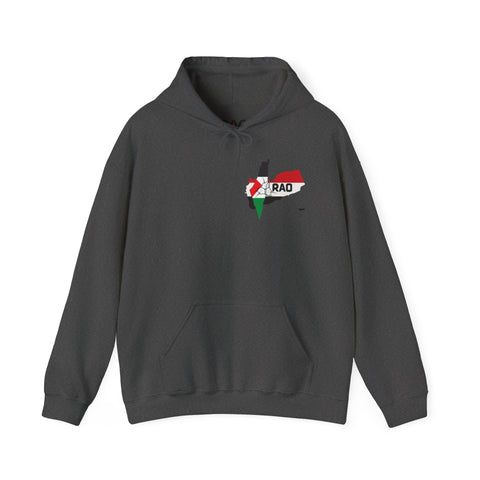 RAO Unity Hoodie: Palestine & Yemen Heavy Blend Hooded Sweatshirt