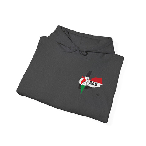 RAO Unity Hoodie: Palestine & Yemen Heavy Blend Hooded Sweatshirt