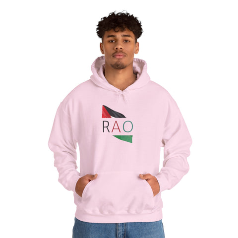 Stylish Unisex Hooded Sweatshirt with RAO Graphic, Cozy Pullover, Casual Gift, Streetwear, Everyday Wear, Unique Design